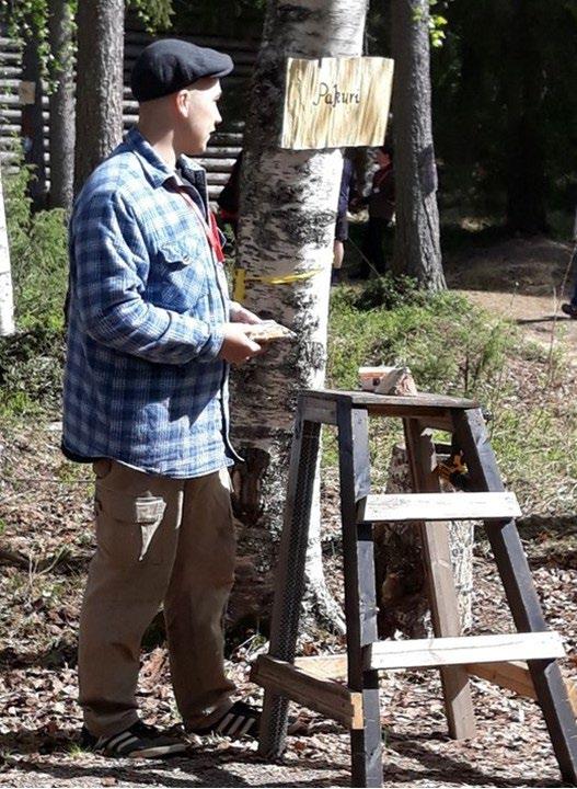 Pakurin istutus alkamassa Metsän