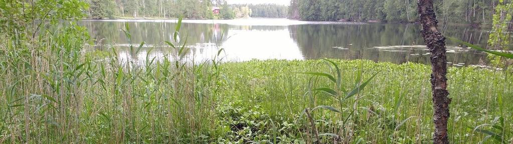 Pohjavesialueella arvioidaan muodostuvan pohjavettä keskimäärin 250 m 3 /d.