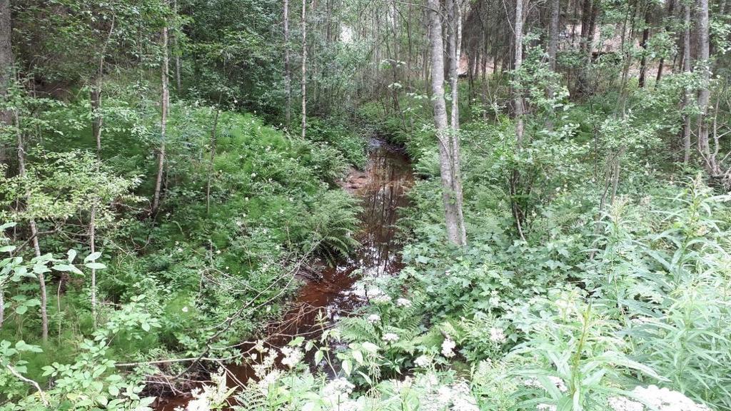Pohjavesialueella arvioidaan muodostuvan pohjavettä keskimäärin 250 m 3 /d. Pohjavesialue on osa luode-kaakko -suuntaista pitkittäisharjujaksoa.