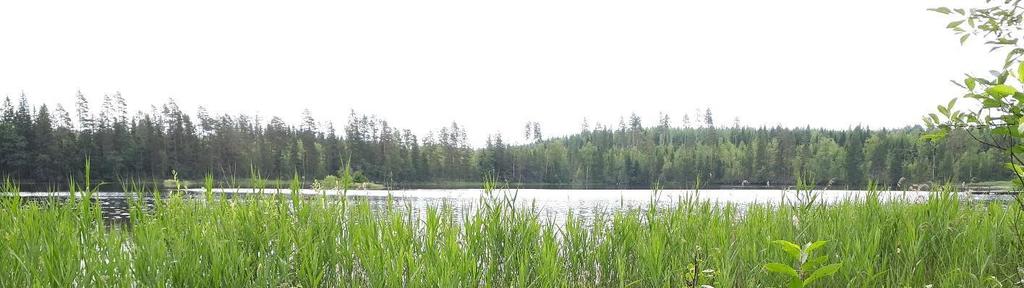 POHJAVESIALUEIDEN SUOJELUSUUNNITELMA 19 5.11 Kylämä, 0929113, III-luokka Kylämän pohjavesialueen kokonaispinta-ala on 1,06 km 2, josta pohjaveden muodostumisaluetta on 0,58 km 2.