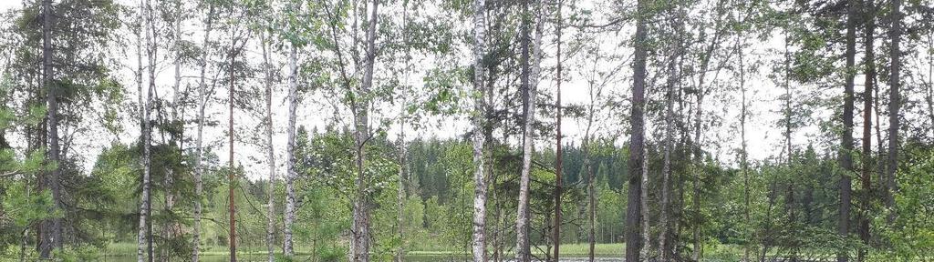 POHJAVESIALUEIDEN SUOJELUSUUNNITELMA 20 Hopeaharjun pohjavesialueella on tehty Keski-Suomen ELY-keskuksen toimesta tutkimuksia vuonna 2017.