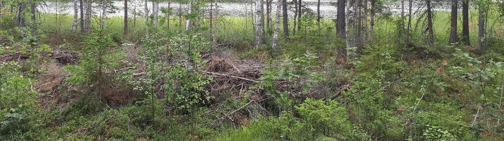 Pisteestä tehtiin vedenantoisuuspumppaukset 4-5 ja 5-6 metrin syvyyksistä. Syvyydellä 4-5 metriä maanpinnasta esiintyy hyvin vettä johtava kerros, jonka vedenantoisuus on 104 l/min.
