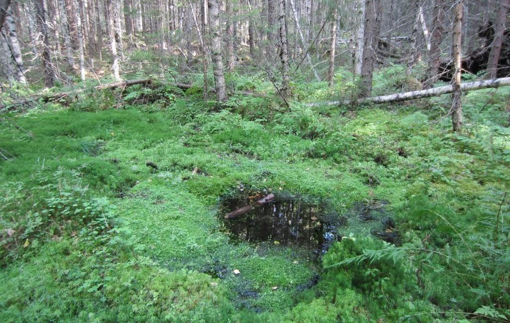 POHJAVESIALUEIDEN SUOJELUSUUNNITELMA 25 