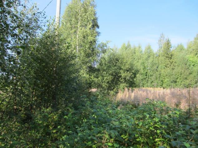 10 Hopeaharju Hopeaharjun pohjavesialueella tehtiin maastotarkistus pohjavesialueen länsireunan luonnonsuojelualueella, jossa ei todettu