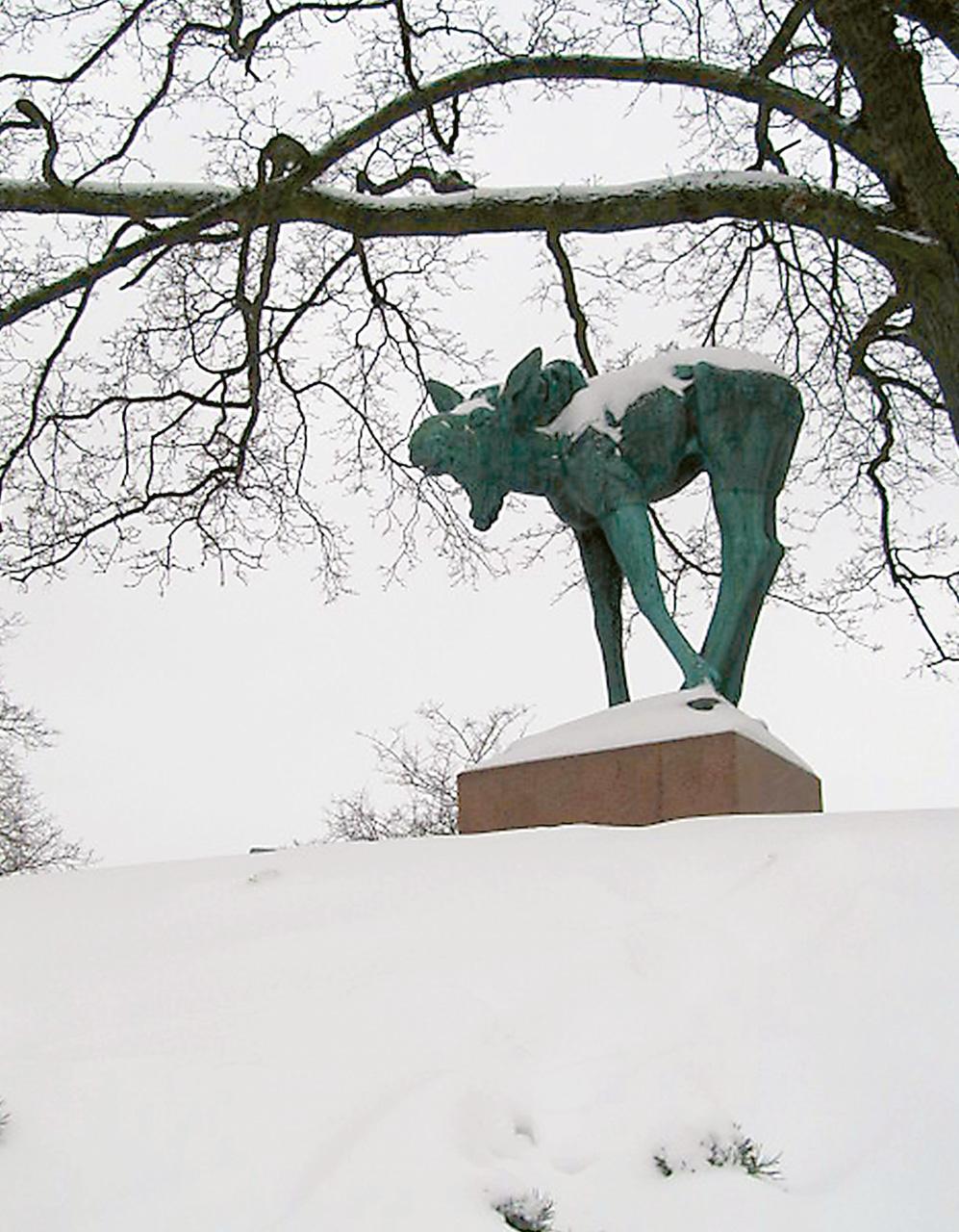 Helsingin Toimihenkilöt Pro