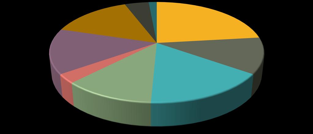 VAATIVAN ERITYISEN TUEN PALVELUT SOSIAALIPALVELUISSA (TAYS)