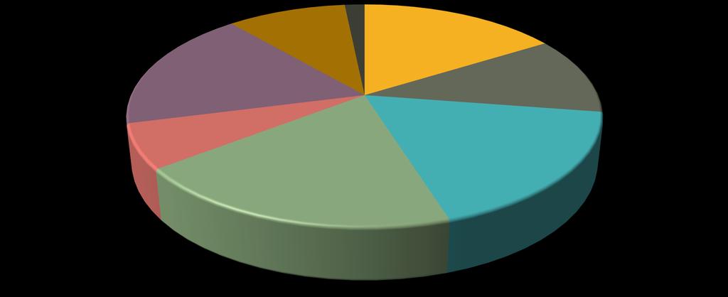 VAATIVAN ERITYISEN TUEN PALVELUT TERVEYDENHUOLLOSSA (TAYS) Yritys (6) Yksityinen toimija (11) Kolmas sektori (1) Muu (0)