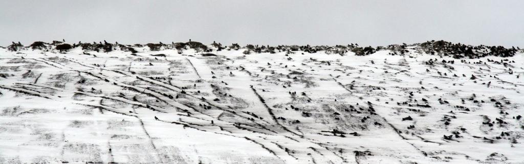 2019 1 TARASTENJÄRVEN JÄTTEENKÄSITTELYKESKUKSEN