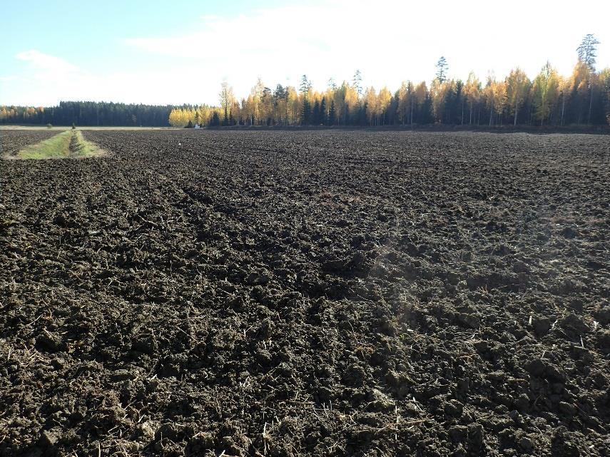 Kivet ovat siis nykyisellä tilusrajalla, joka on merkitty myös vuoden 1959 peruskarttaan. Vuoden 1783 isojakokartalla paikalla ei ole rajalinjoja.