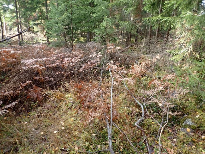 Vanhalla kylänrajalla sijaitseva betonipyykki.
