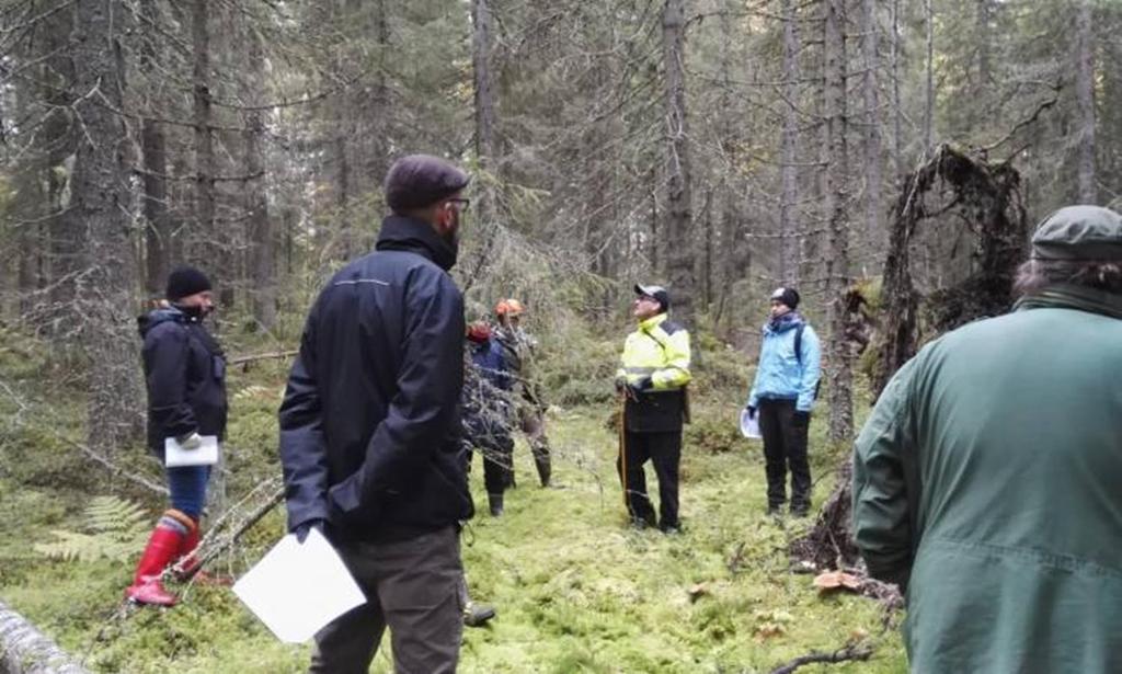 Työskentely Kokouksia 3-4 viikon välein, kokousten välillä toimisto ja kamarit työstävät taustapapereita ja indikaattoriesityksiä Neuvottelut työryhmissä