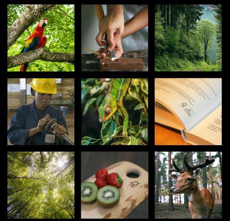 Forest Stewardship Council FSC Finland Kuortaneenkatu