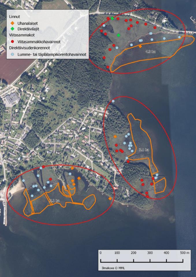 ESA-ELY Vesikasvillisuuden poistot Kerimäen Matinniemi (2016-18): Toteutus kolmen vuoden aikana yhteensä n. 30 ha (n. 10 ha/v) Villalassa Kevätösniemi/Ketolanlahti 2018-19: Toteutus kahtena vuotena n.