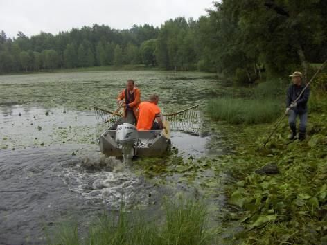 TAVOITE: VESISTÖJEN HOITO JA KUNNOSTUS Latvavesien tilan parantaminen Maa- ja metsätalouden vesiensuojelun tehostaminen ja