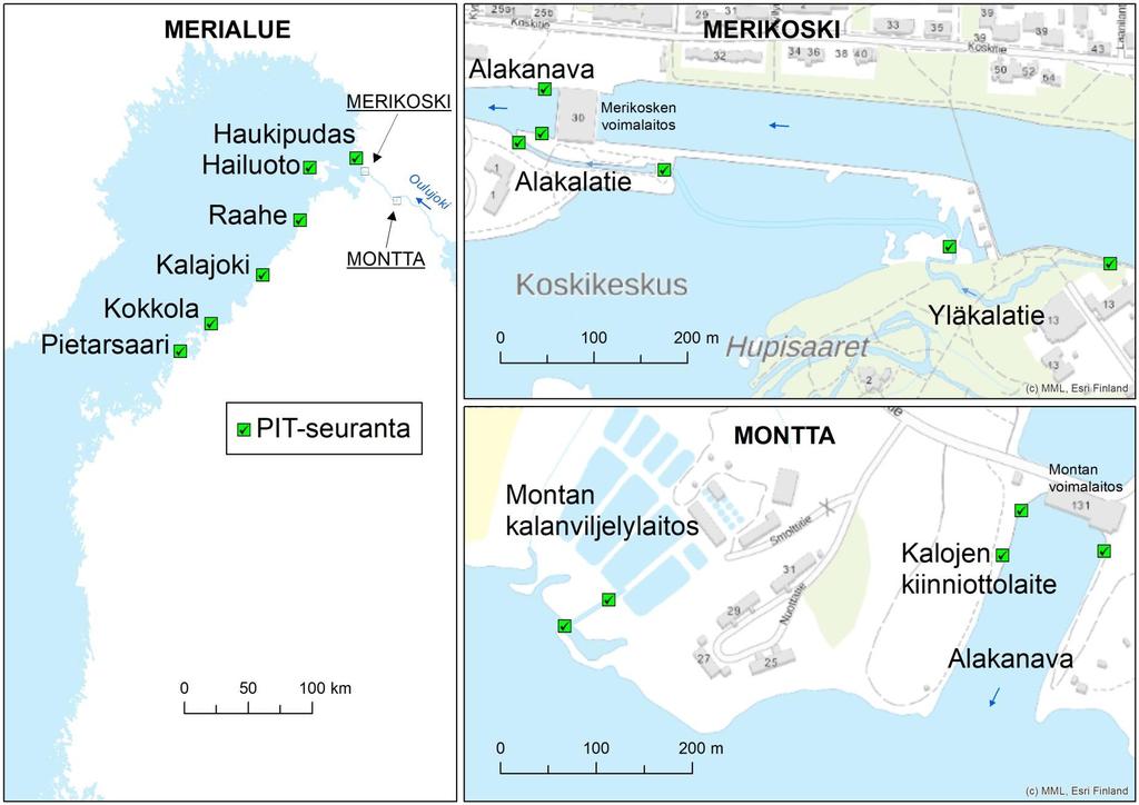 PIT-seurantaverkoston laajentaminen Perämerelle: Montta, Merikoski,