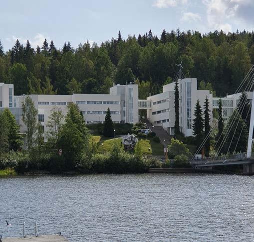 Kuiduissa tutkimme mahdollisuuksia tuottaa kierrätettäviä kasvualustoja kerrosviljelyyn sekä erilaisia levytuotteita rakennusteollisuudelle.