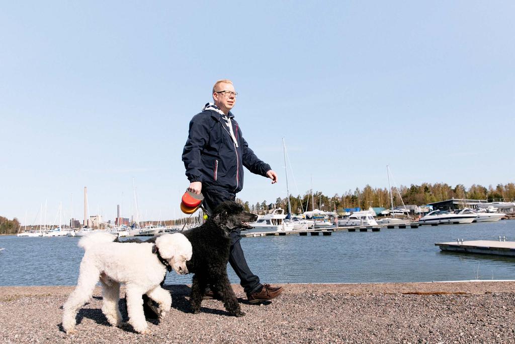 Group Services palvelee konsernin kaikkia toimintoja Vapo-konsernissa liiketoiminta on keskitetty divisiooniin: suoraa liiketoimintaa tukevat palvelut kuten esimerkiksi hankinnat ja turvallisuus on