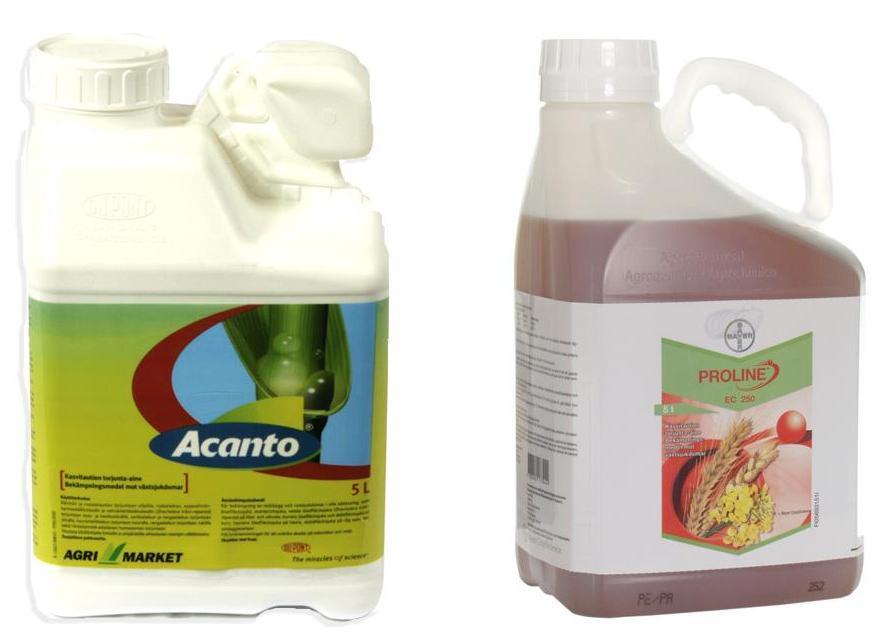 ACANTO + PROLINE Kahden tuotteen yhdistelmäpakkaus viljojen tautien torjuntaan Kattava ja pitkäkestoinen suoja ohran tauteja vastaan Molemmat
