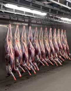 Sisällysluettelo JOHDANTO Poroteurastaja puhdasta laatua 3 Hygienia 4 Lihantarkastus 6 Elävien eläinten käsittely ja teurastamon ulkoalue 7 Tainnutus 8 Pisto eli verenlasku 9 Pään, kielen ja