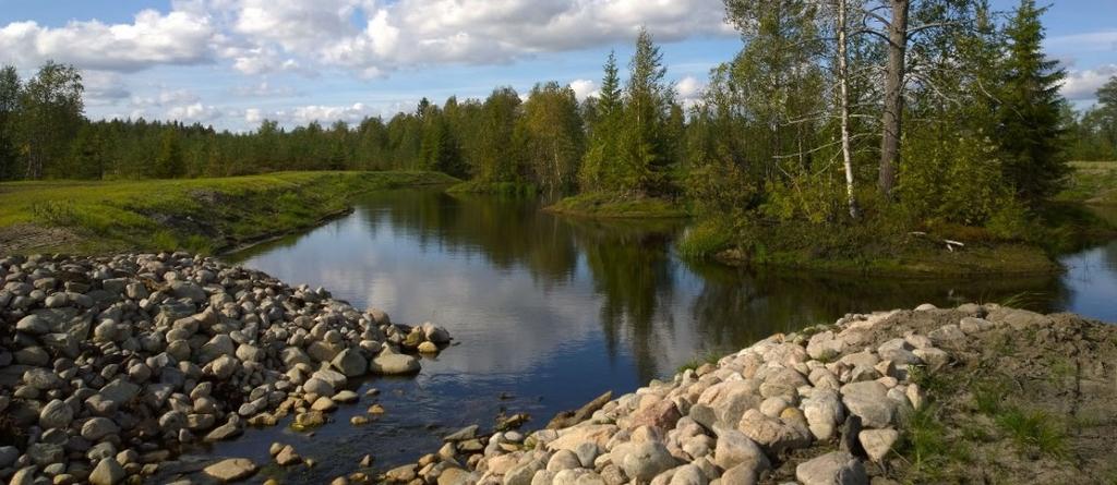 ALUEELLINEN SUUNNITELMA 10 (18) Laskeutusaltaan pohjapadon korkeus voi olla noin 251,2 m merenpinnan yläpuolella, jolloin vesi ei pääse viereiselle pellolle.