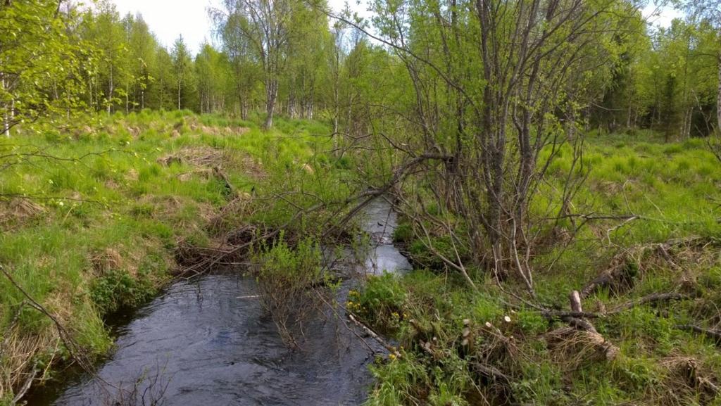 tarvittaessa traktorilla ojan yli. Kolmen laskeutusaltaan pinta ala on yhteensä noin 1500 m2 ja keskisyvyydeksi kaivetaan noin 1m.