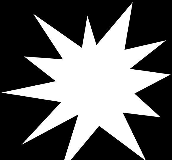 MAUSTEKURKKU 1.
