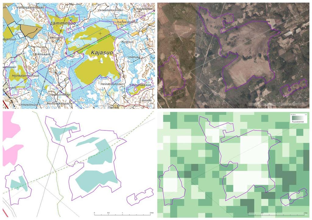 Soidensuojelun täydennysehdotuksen kohde KAJASUO-LAMMINSUO Kajasuo-Lamminsuo (435 ha) sijaitsee Kouvolan ja Haminan raja-alueella ja se on Honkalammin-suon ohella osa alueen keidassoiden rypästä.