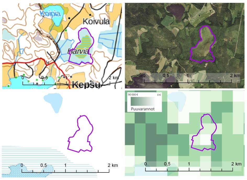 Soidensuojelun täydennysehdotuksen kohde HARVIA Harvia (29 ha) sijaitsee Kouvolassa Rapojärven itäpuolella.