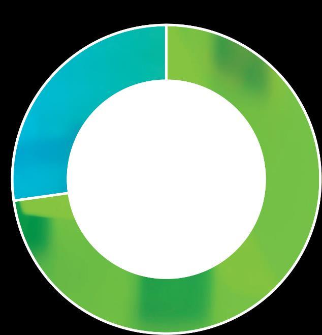 % Naisia 27 % Miehiä 26 %