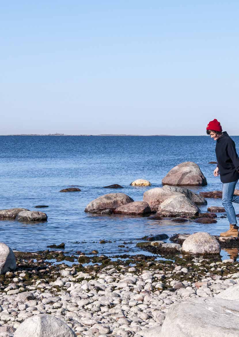 Pidä Saaristo Siistinä ry lyhyesti Pidä Saaristo Siistinä ry (PSS ry) on valtakunnallinen vuonna 1969 perustettu veneilijöiden ja vesilläliikkujien ympäristöjärjestö.