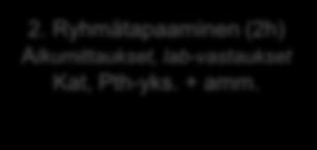 1. Ryhmätapaaminen (2h) Kat, Pth-yks. + amm. 2. Ryhmätapaaminen (2h) Alkumittaukset, lab-vastaukset Kat, Pth-yks. + amm. Muutosmatka kaaviona 5.