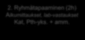 1. Ryhmätapaaminen (2h) Kat, Pth-yks. + amm. 2. Ryhmätapaaminen (2h) Alkumittaukset, lab-vastaukset Kat, Pth-yks. + amm. Muutosmatka kaaviona 5.