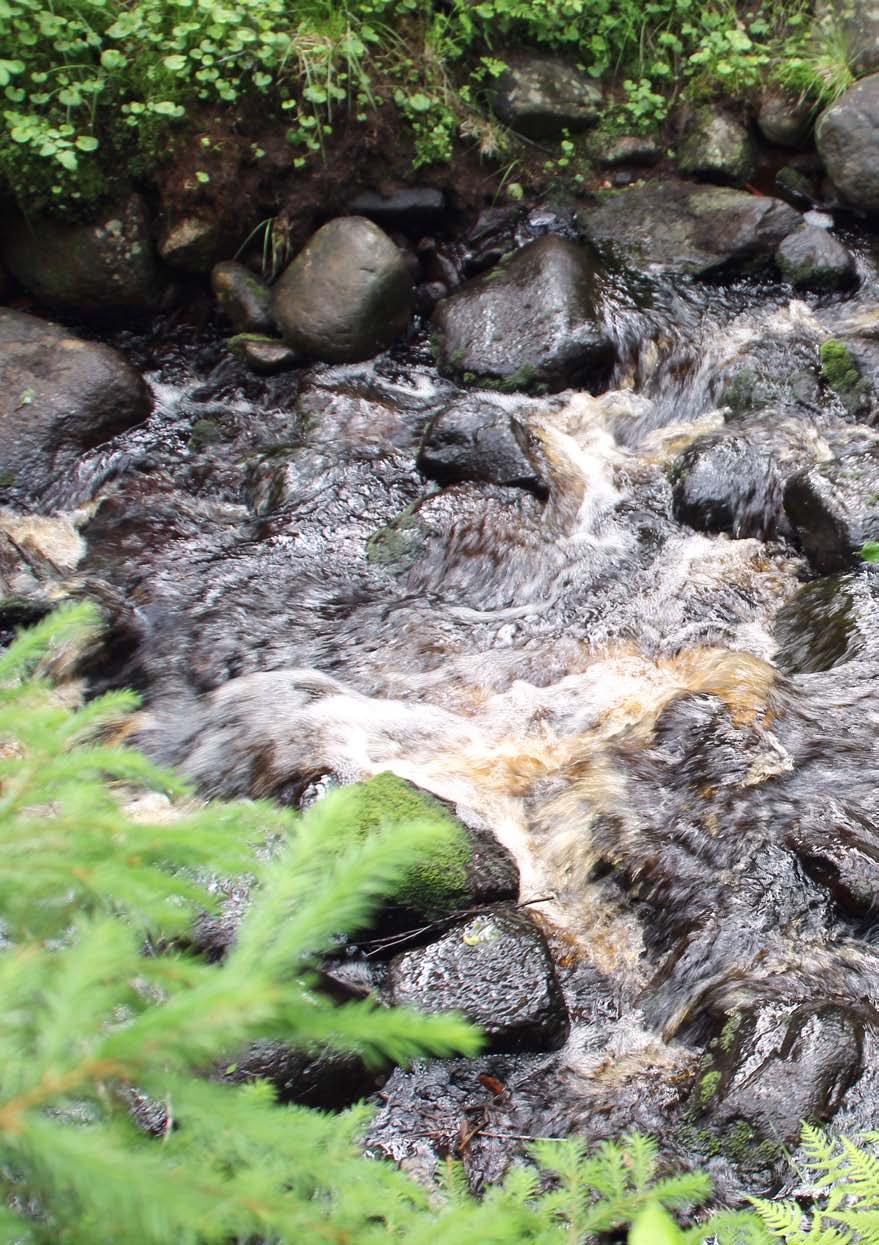 Monet maankäyttömuodot valuma-alueella voivat