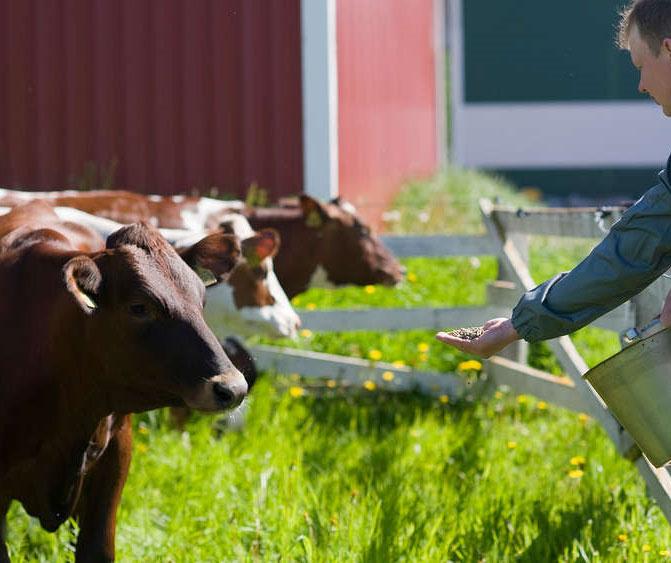 ympäristövaikutuksia oman tuotantomme