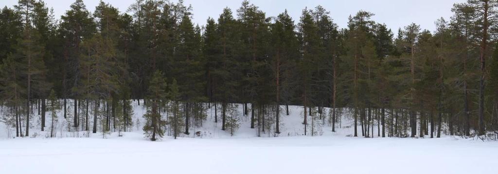 Alue ei ole rakennuskiellossa. Pohjakartta on laadittu mittakaavassa 1:2000. Alun perin kartta on hyväksytty 28.6.1991.