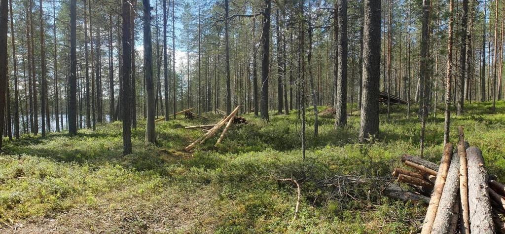 20 Kuvat 20 Suunniteltu rakennuspaikka maalta kuvattuna 4.2. Suunnittelun käynnistäminen ja sitä koskevat päätökset Kaavan laajentaminen on lähtenyt liikkeelle laajennusalueen kiinteistön ostaneiden maanomistajien aloitteesta alkuvuonna 2019.