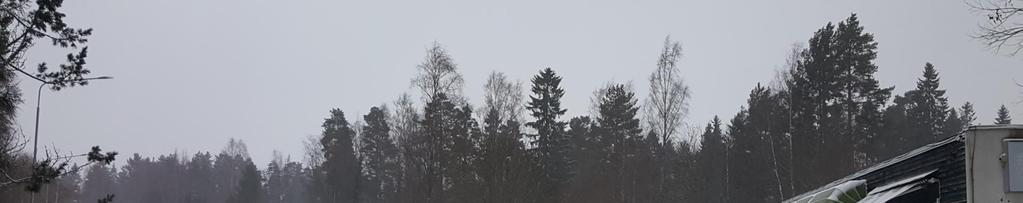 RAKENNUKSEN SUHDE YMPÄRISTÖÖN Liikerakennus sijoittuu melko keskelle Ruotulan aluetta Jaakonmäenkadun varrelle, Jaakonmäenpuiston ja aluetta jakavien metsäkaistaleiden risteyskohtaan.