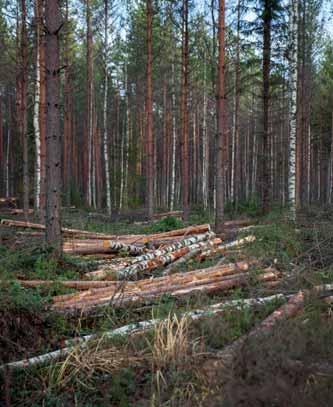 Lahjaveron huojennuksen ehdot Lahjaveron huojennus voidaan myöntää silloin kun yritystoimintaa jatketaan. Jatkajan ei tarvitse olla luovuttajan sukulainen.