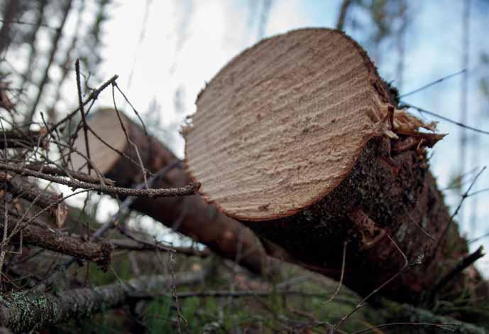 Jatkaja lähtee tekemään poistoja tästä arvosta, joka on siis suurempi kuin rakennusten nykyinen poistamaton hankintameno.