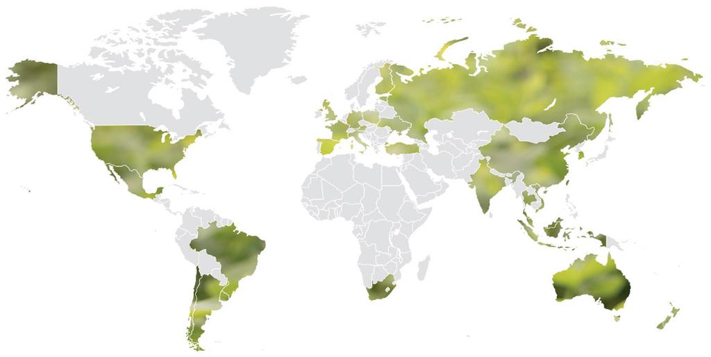 Yhtiössämme työskentelee noin 19 000 henkilöä ympäri maailmaa, ja vuosittainen liikevaihtomme on noin 10,5 miljardia euroa. Vastuullisuus on keskeinen osa UPM:n tapaa toimia, ja myös kilpailuetu.