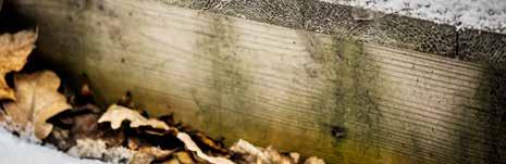 Karkaisemattomat ja ruostumattomasta teräksestä valmistetut A2- tai A4-terassiruuvit ovat pehmeämpiä ja mukautuvat puun liikkeisiin paremmin. HARVINAISISTA PUULAJEISTA, ESIM.