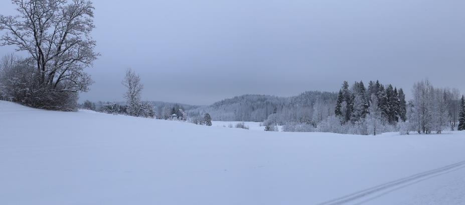 Kuva otettu 26.4.2017. Kuva 13-2. Näkymä Lepsämänjoentieltä kohti itää.