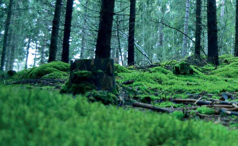 Kuva: Ritva-Liisa Pulkkinen Etelä-Karjalan maakuntaohjelma 2014 2017 linjaa Etelä-Karjalan puhtaan elinympäristön ja vihreän teknologian älykkäästi erikoistuva edelläkävijämaakunnaksi.