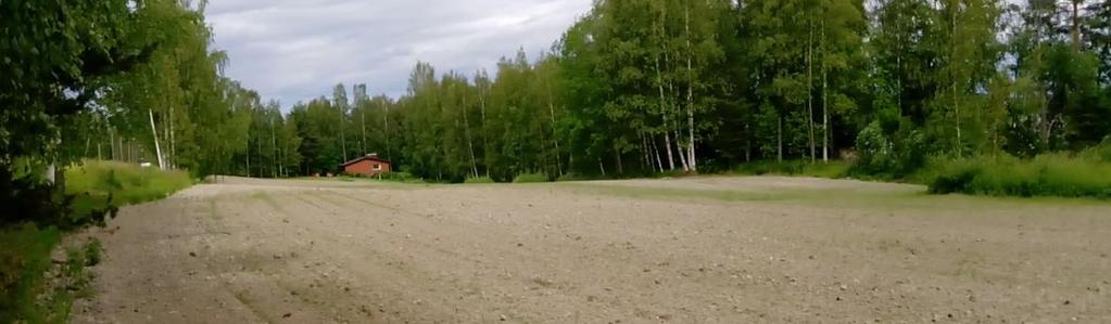 Pellon ja järven välillä on kapealti koivuvaltaista varttunutta puustoa. Kuusia on vähän ja ne ovat nuoria.