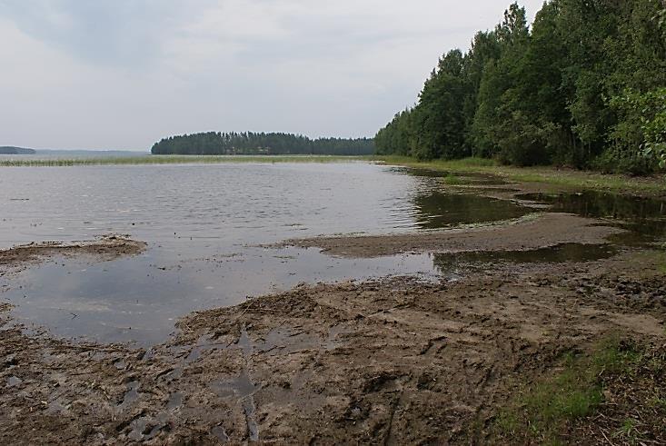 Kiintoainekuormitus, eloperäiset