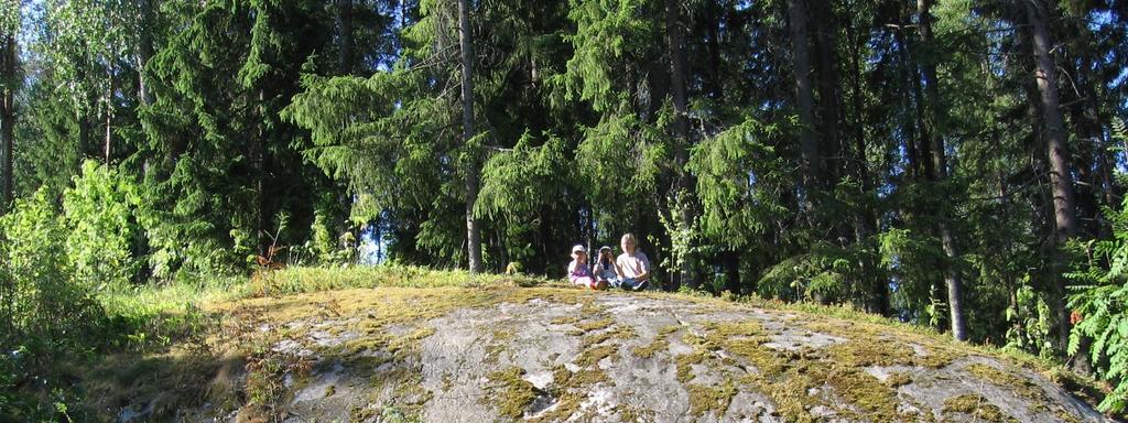 VARHAISKASVATUKSEN KÄYTTÄMIEN