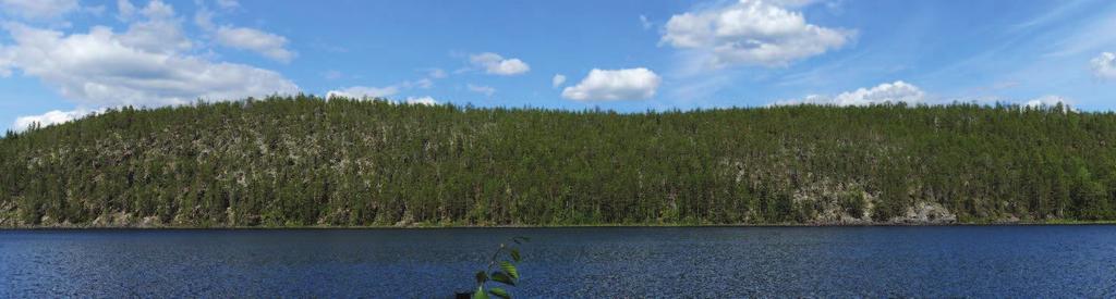 Maa- ja kallioperä, hydrologia Palovaara (nro 10) on lakialueeltaan laaja, osin avokallioinen, karukkomännikköä kasvava alue.