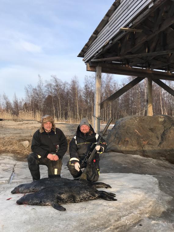 RYHÄRITIIDE HAUKIPUTAALAINEN Tiedotuslehti ETÄTÄJÄ