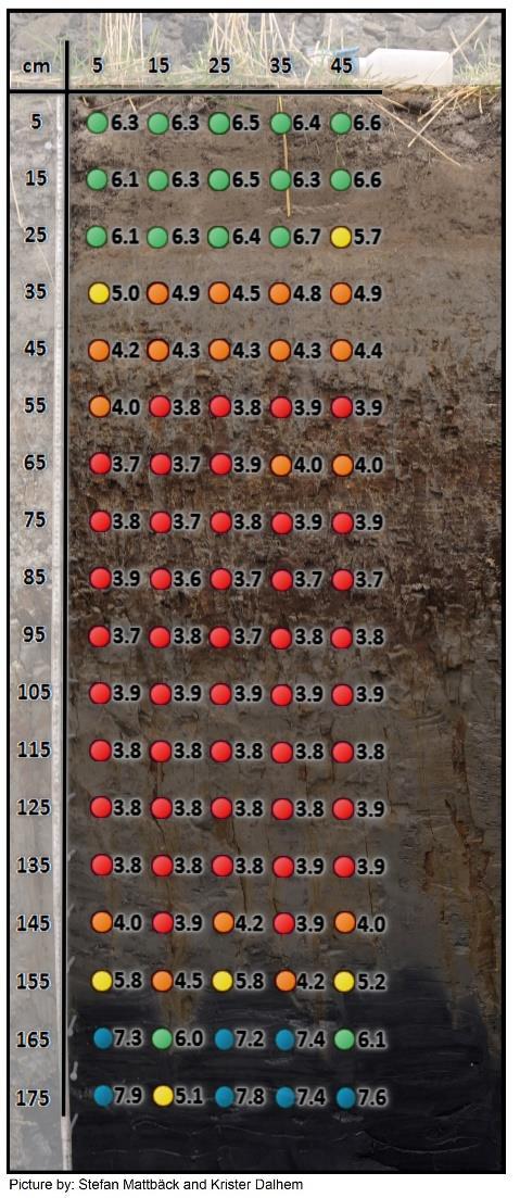 Hienorakeiset vs. Karkearakeiset HS-maat B-horisontti, hapettunut (hapan) Maasto-pH 3.5 4.0 Sulfidirikki 0.01 0.1% Asiditeetti 50 100 mmol/kg B-horisontti, hapettunut (hapan?) Maasto-pH < 4.