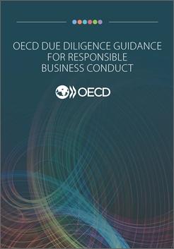 Johdanto: mitkä uudet lisäohjeet? OECD:n ministerineuvosto hyväksyi ohjeet 31.5.